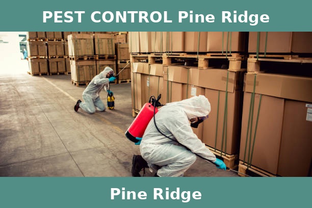 PEST CONTROL Pine Ridge